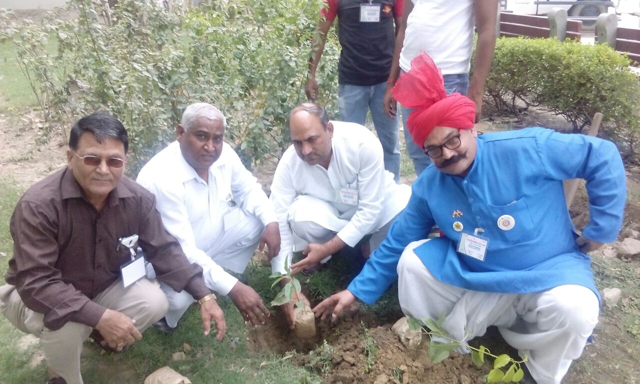 पर्यावरण सप्ताह मनाया जायेगा