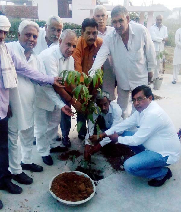 त्यौहार पर पौधारोपण करना एक सराहनीय पहल : रूप सिंह नागर