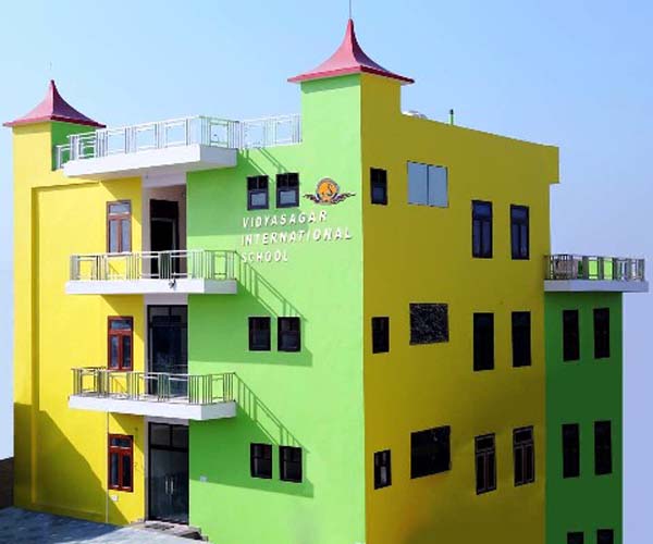 विद्यासागर इंटरनेशनल स्कूल का रिजल्ट रहा शत प्रतिशत (साइंस स्ट्रीम में)