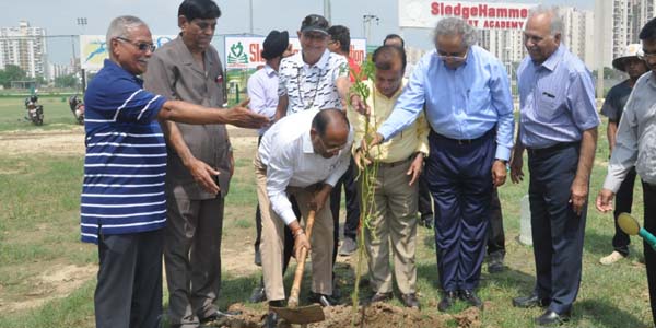 एफआइए द्वारा किया जायेगा पौधारोपण